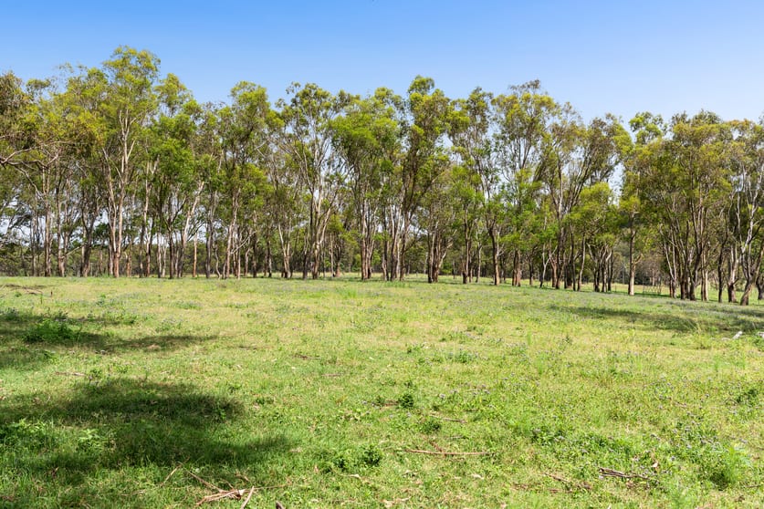 Click to view all images Lot 129 & 130 Firth Road Geham QLD 4352 - Image 3