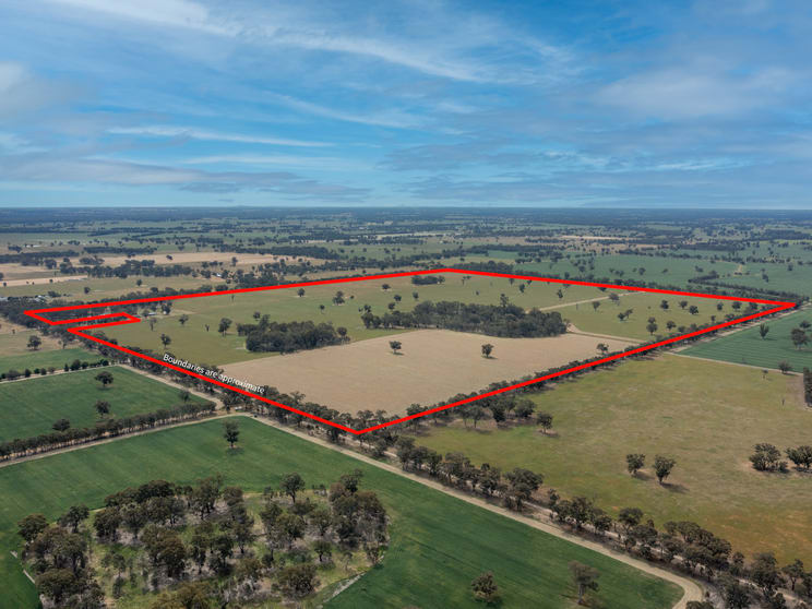 Click to view all images 740 Boland Road Boorhaman VIC 3678 - Image 3