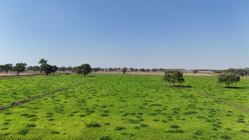 Click to view all images 8109 Murray Valley Highway Kerang East VIC 3579 - Image 2