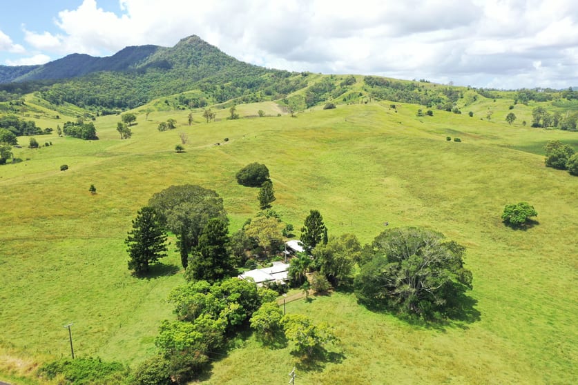 1038 Summerland Way Kyogle NSW 2474 - Image 3