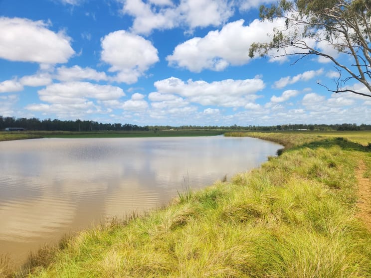 Click to view all images 281 Wheatlands Loop Road Wheatlands QLD 4606 - Image 1