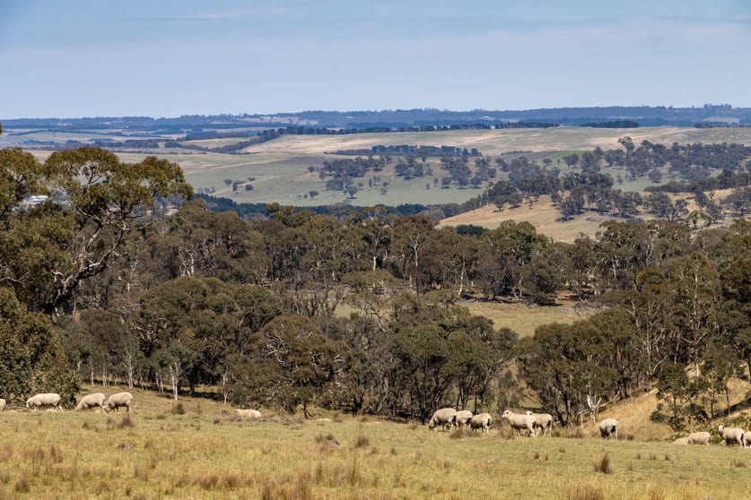 Click to view all images 1169 Golspie Road Taralga NSW 2580 - Image 3