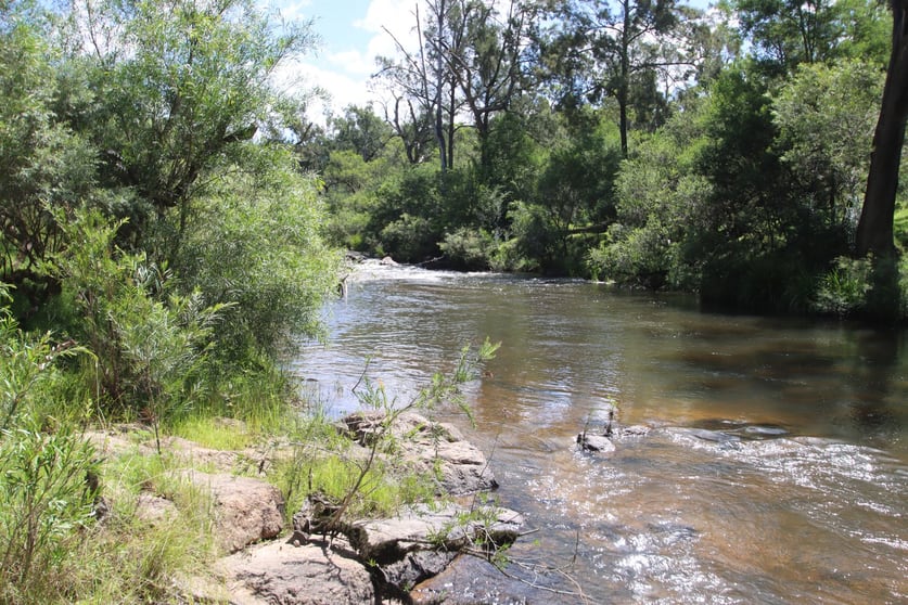 Click to view all images 147 Rover Park Road Tenterfield NSW 2372 - Image 2