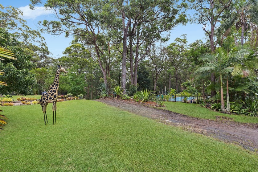 2 Toomeys Road Mount Elliot NSW 2250 - Image 3