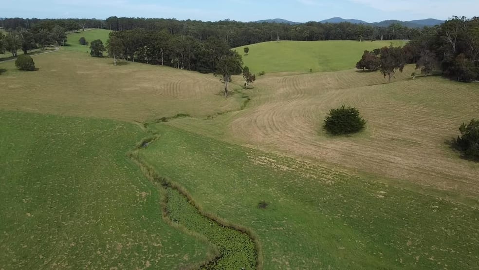 Click to view all images Lot 1/87 Searles Rd Tamban NSW 2441 - Image 3
