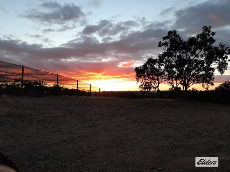 Click to view all images 255 Red Hill Road Springdale QLD 4380 - Image 3