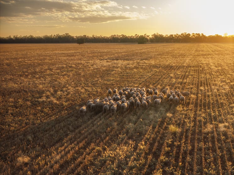 Click to view all images Rutherglen 181 Rutherglen Road Nyngan NSW 2825 - Image 1