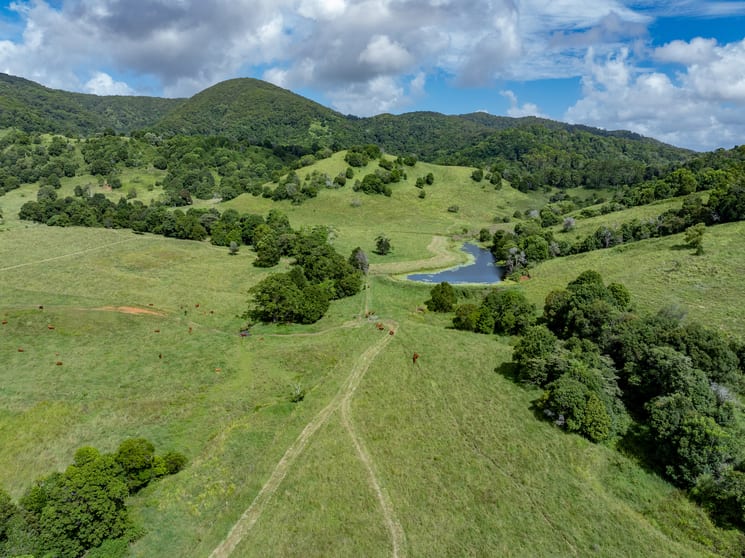 Click to view all images 393 Sister Tree Creek Road Kin Kin QLD 4571 - Image 3
