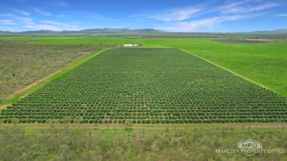 Click to view all images 398 Leadingham Road Dimbulah QLD 4872 - Image 3