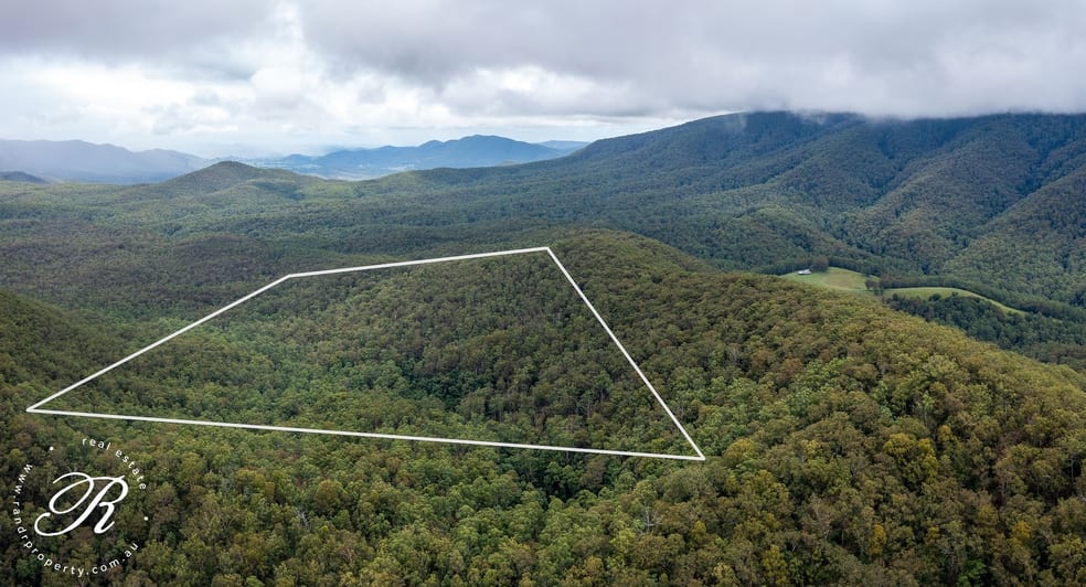 Berrico NSW 2422 - Image 1