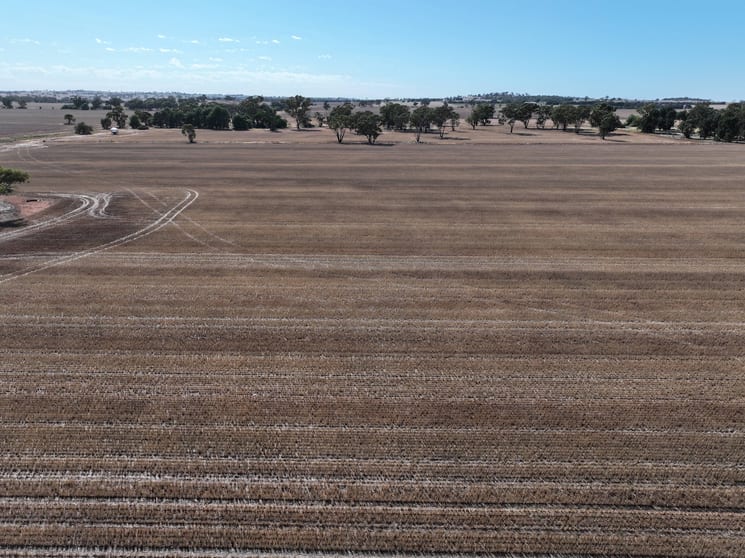 Click to view all images ' The Pines' 57 Walshs Lane Berry Jerry NSW 2701 - Image 3