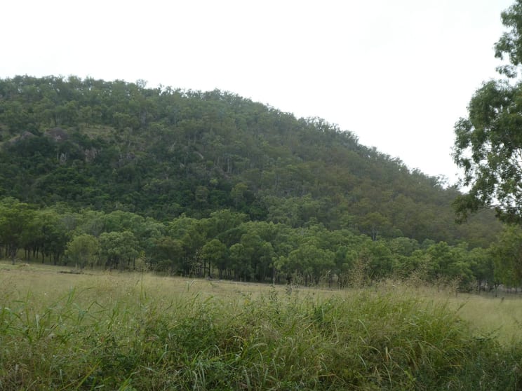 Click to view all images Lot 104 Cockings Road Dundarrah QLD 4625 - Image 1
