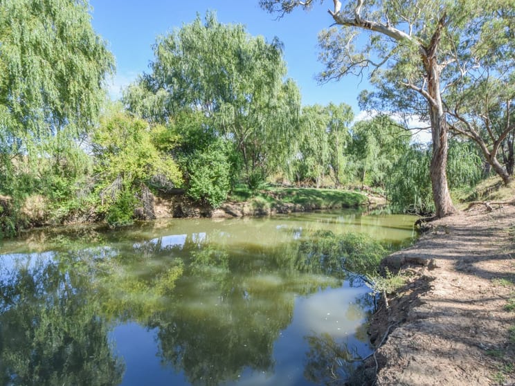Click to view all images 1089 Henry Lawson Way Young NSW 2594 - Image 1