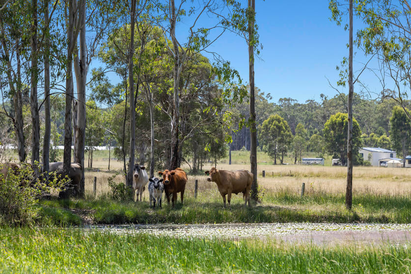 Click to view all images 8855 Summerland Way Leeville NSW 2470 - Image 1