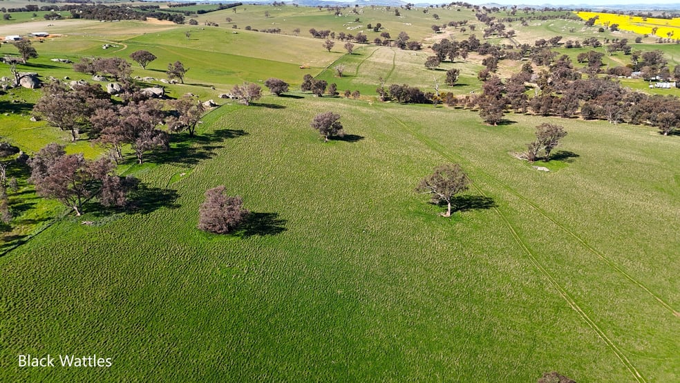 Click to view all images Woburn Road Harden NSW 2587 - Image 3