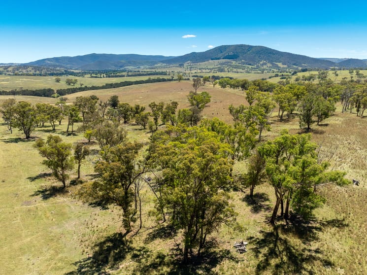 Click to view all images 1887 Hazelgrove Road Tarana NSW 2787 - Image 2