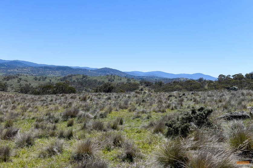 Click to view all images "Muriel's Paddock" Gullies Road Jindabyne NSW 2627 - Image 1
