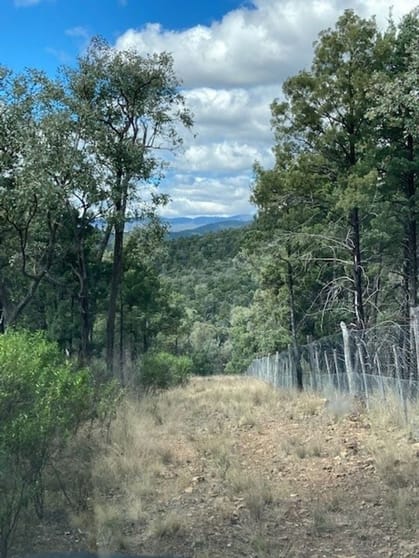 Click to view all images 10 Mountain Creek Rd Mole River NSW 2372 - Image 3