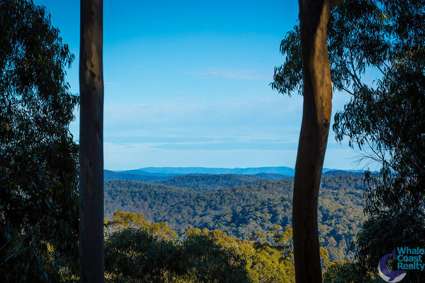 Click to view all images 100 Hobbs Point Road Narooma NSW 2546 - Image 3