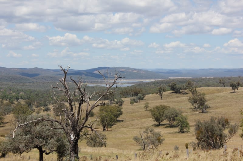 Click to view all images 'Glenview' 1291 Auburn Vale Rd Inverell NSW 2360 - Image 2