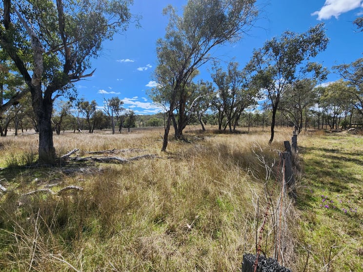 Click to view all images Lot 2 Stanthorpe Texas Road Stanthorpe QLD 4380 - Image 3