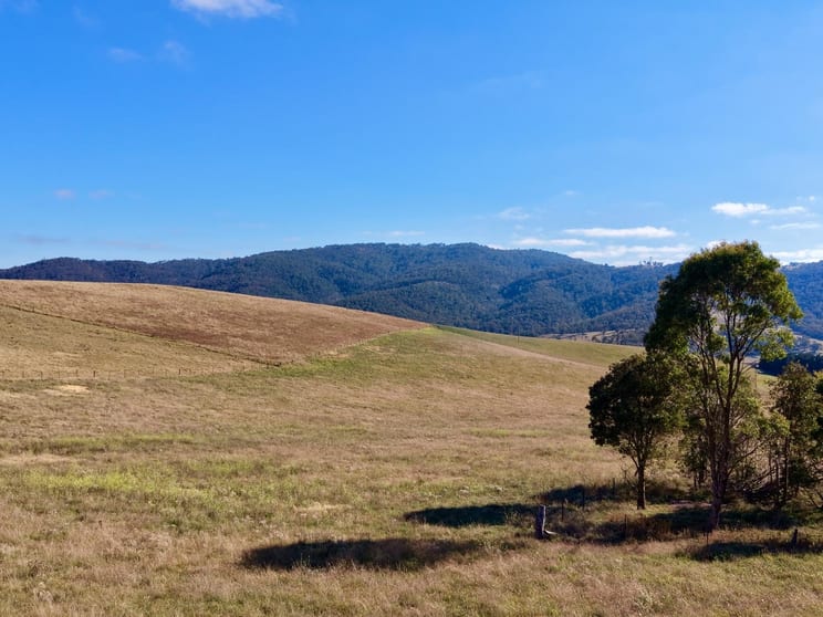 Lot 1/976 Sodwalls Road Tarana NSW 2787 - Image 3