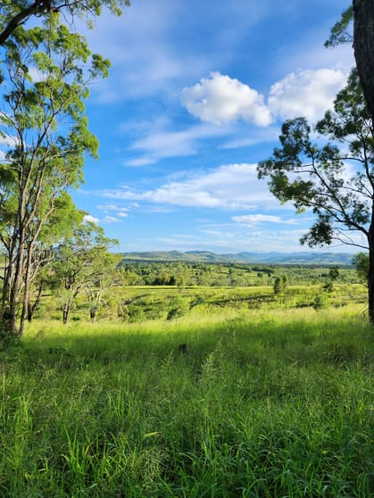 Click to view all images 25B Salt Springs Road Glen Cairn QLD 4342 - Image 3