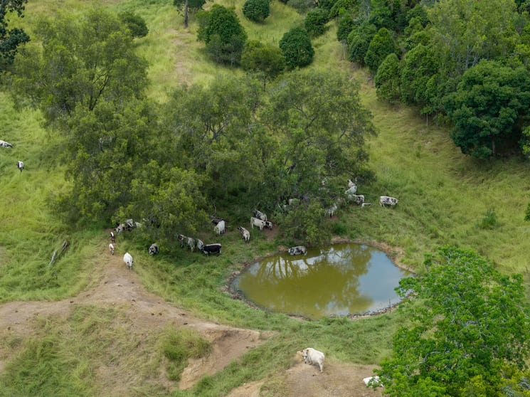 Click to view all images L 148, 144 Fletchers Road Iredale QLD 4344 - Image 3