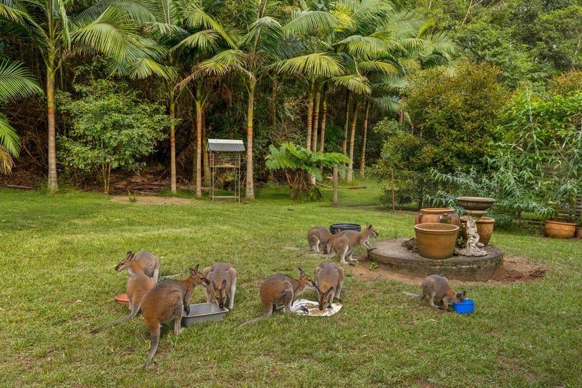 34 Escotts Lane Martinsville NSW 2265 - Image 3