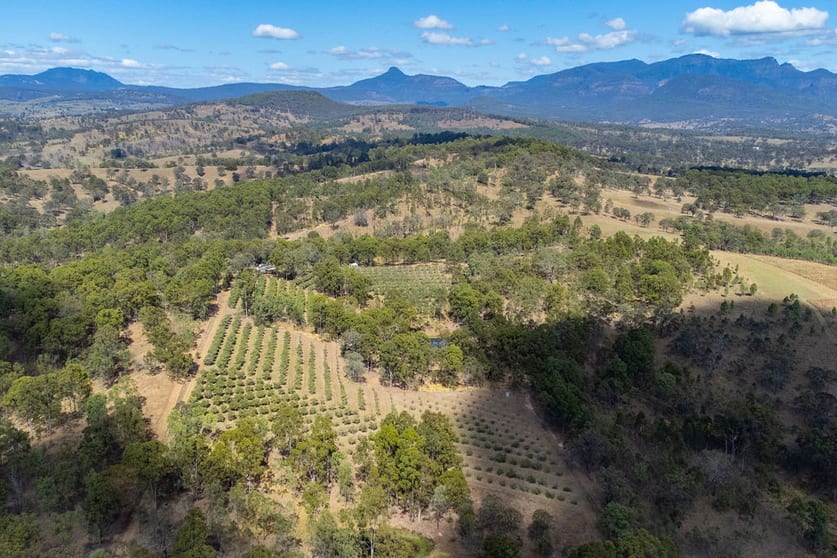 Click to view all images 318 Sawatzki Road Croftby QLD 4310 - Image 1