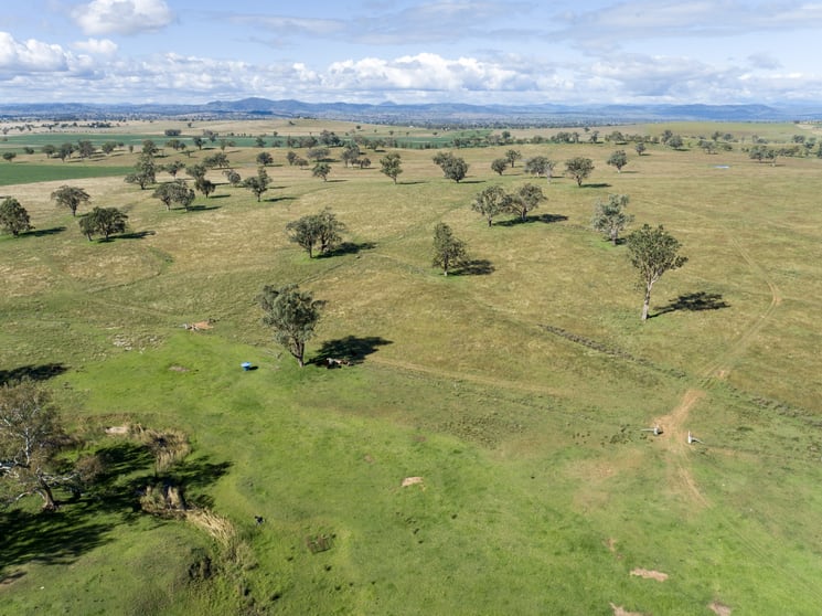 Click to view all images 345 Top Gowrie Road Gowrie NSW 2340 - Image 3