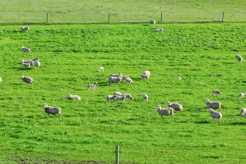 Click to view all images The Junction, 212 Warrumyea Road Panmure VIC 3265 - Image 3