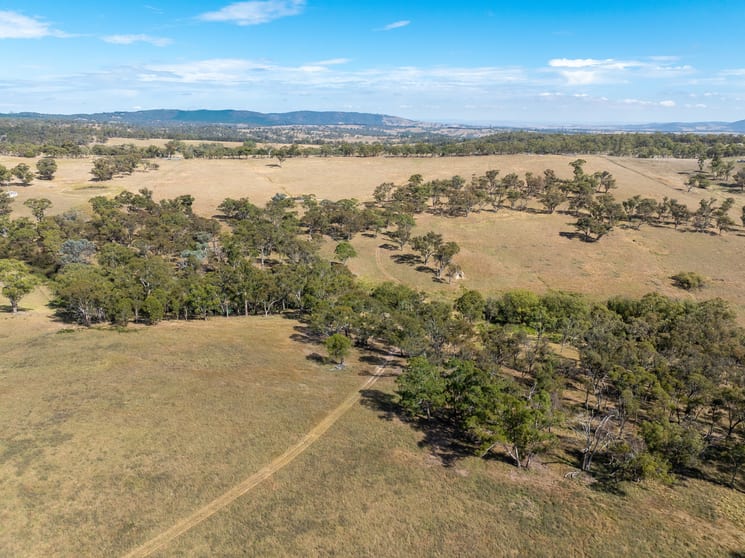 Click to view all images 334 Mount Olive Road Mount Olive NSW 2787 - Image 1