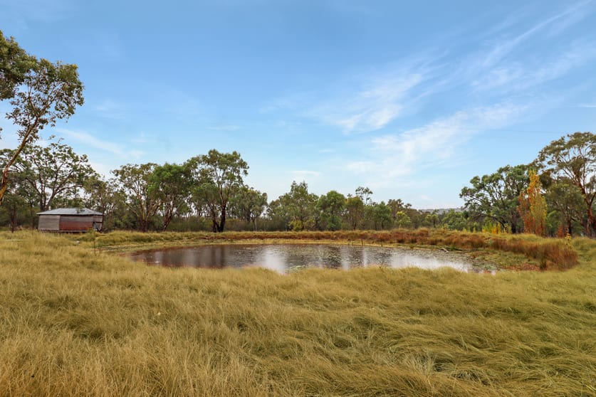 Click to view all images 151 Curtin Road Ballandean QLD 4382 - Image 1