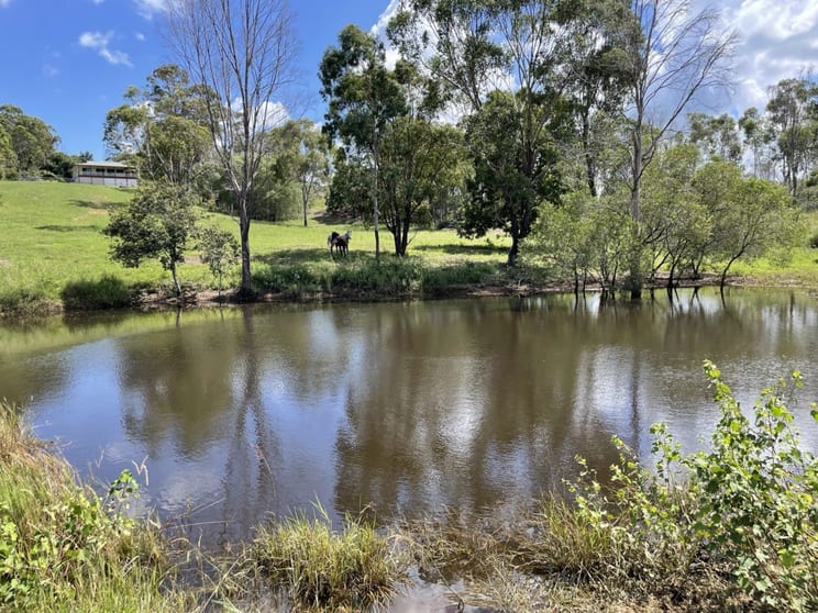 Click to view all images 235 Coorooman Creek Road Cawarral QLD 4702 - Image 1