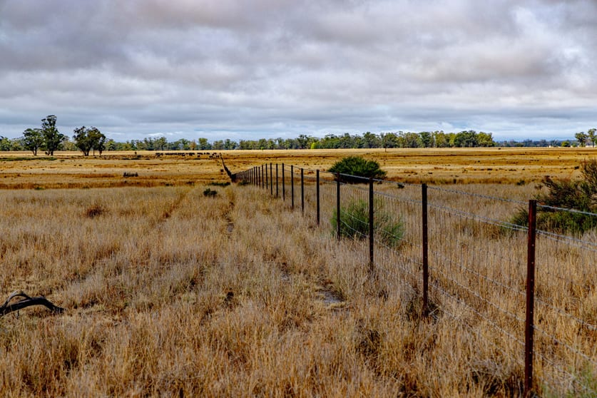 'Woroona' & 'Tralee' 936 Boorr Hill Road Parkes NSW 2870 - Image 3