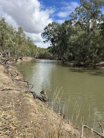 Click to view all images Barham NSW 2732 - Image 2