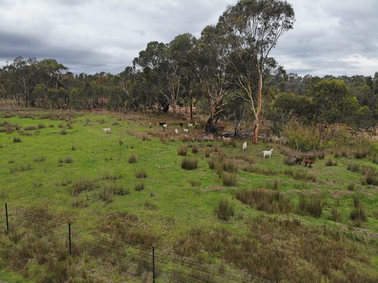 Click to view all images 107 Long Gully Road Inverell NSW 2360 - Image 2