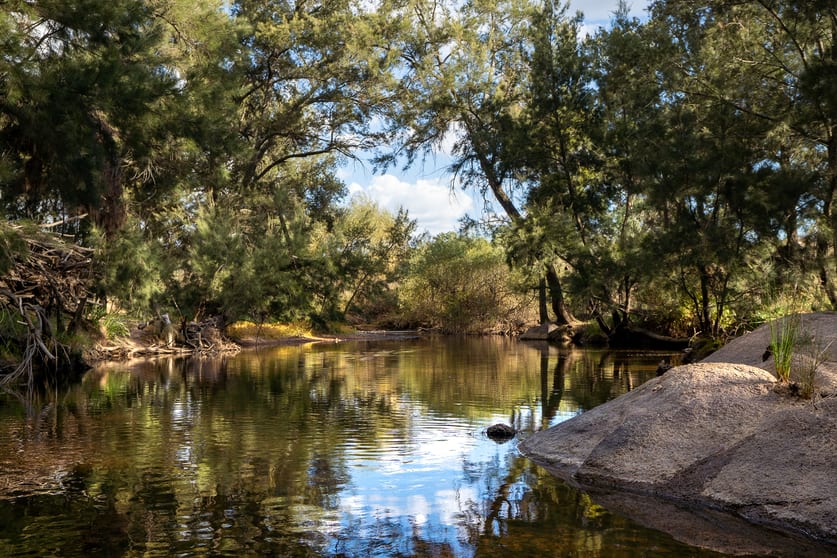25 Bundaleer Road O'connell NSW 2795 - Image 3