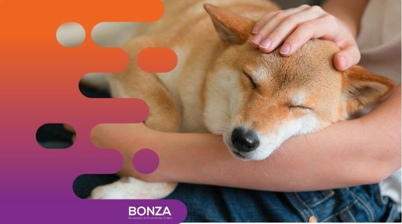 Click to view all images Animal Related business for sale in Brisbane City - Image 3