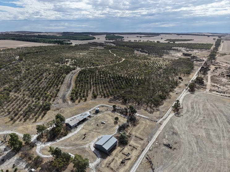 Click to view all images Lot 706 Quairading - York Road Kauring WA 6302 - Image 2