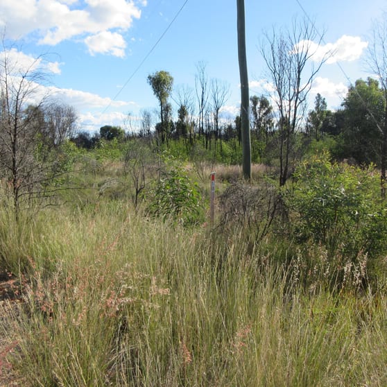 Click to view all images 10 Tara Chinchilla Road Tara QLD 4421 - Image 1