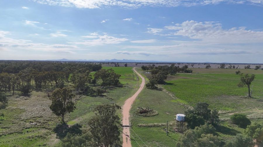 Click to view all images "Tovolea"278 Myall Plains Road Armatree NSW 2828 - Image 3