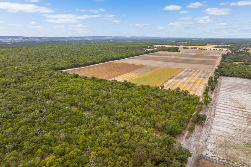 Click to view all images 186 & 229 Runnymede Road Binningup WA 6233 - Image 3