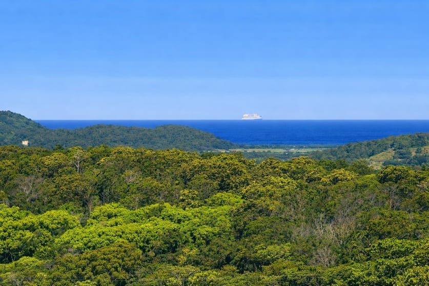 Dalwood NSW 2477 - Image 1