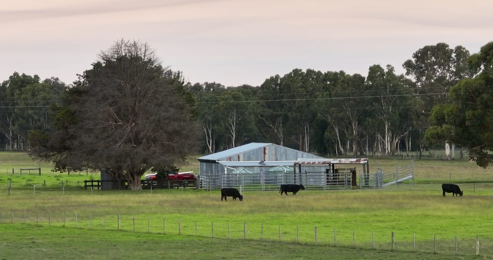 Click to view all images 836 Fernbank-Lindenow South Road Fernbank VIC 3864 - Image 3