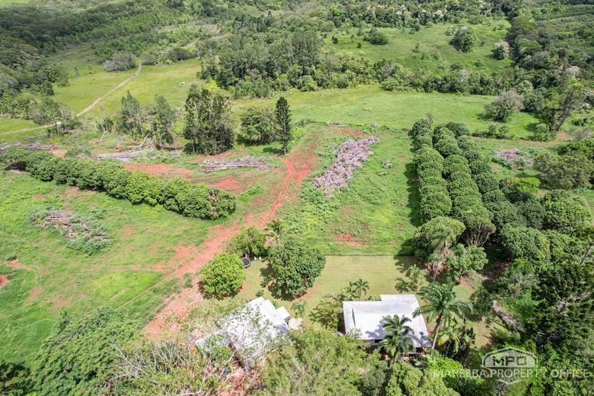 Click to view all images 1000 Mossman Mount Molloy Road Julatten QLD 4871 - Image 2