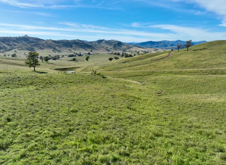 Click to view all images "Colly View" Glen Creek Road Scone NSW 2337 - Image 1