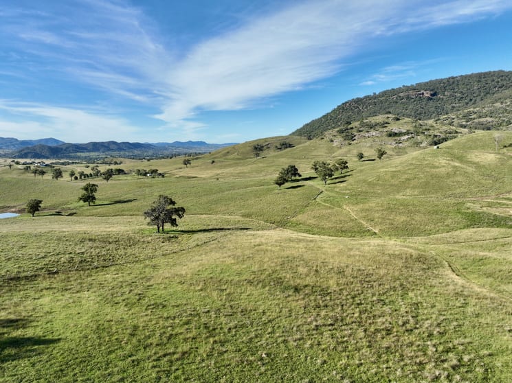 Click to view all images "Colly View" Glen Creek Road Scone NSW 2337 - Image 3
