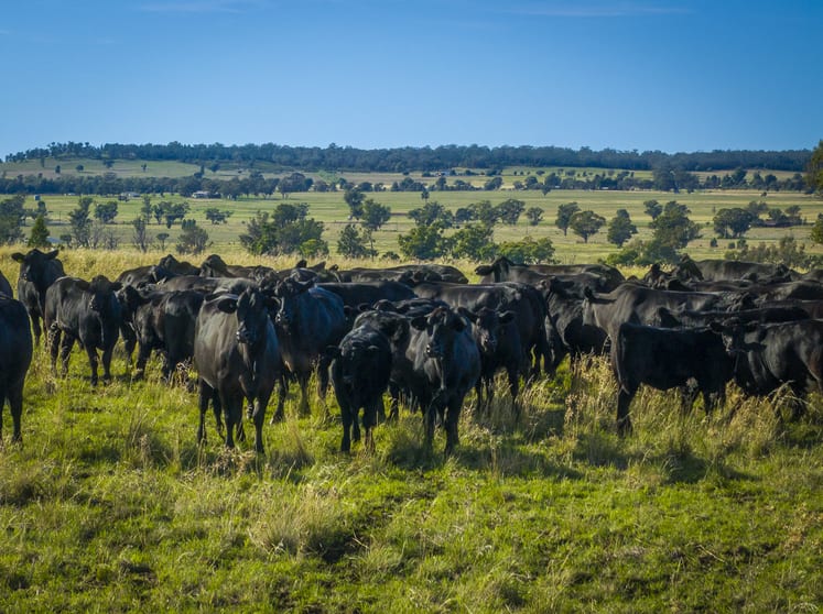 Click to view all images Marrington East 41R Mendooran Road Dubbo NSW 2830 - Image 2